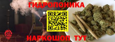 амф Камышлов