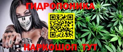 PSILOCYBIN Кандалакша