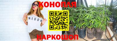 PSILOCYBIN Кандалакша