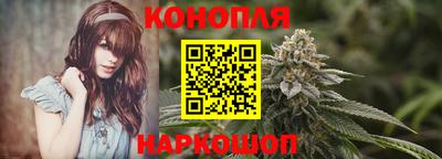 амф Камышлов