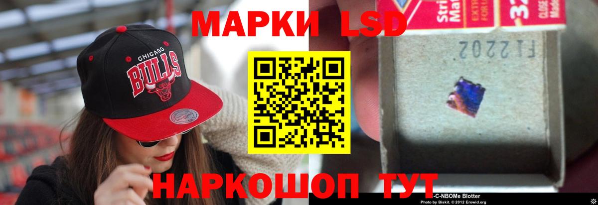 ЛСД экстази ecstasy  МЕГА   Курчалой  Вход с VPN 