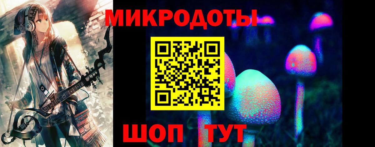 Галлюциногенные грибы GOLDEN TEACHER  Вход с VPN  Галлюциногенные грибы Cubensis  Курчалой 